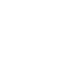 Validus shield logo